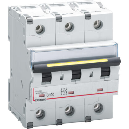 Interruttore magnetotermico 3P curva C 100A 16kA - BTI FT83C100