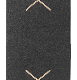 Pulsante commutatore 2P 10A grigio - VIW 19061
