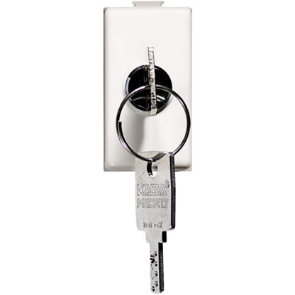 matix - interruttore 2P 16A chiave - BTI AM5007