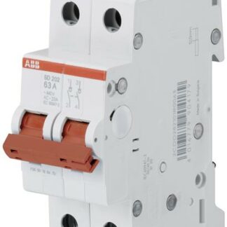 Interruttore sezionatore SD202/16 2P 16A 2M - ABB M990412