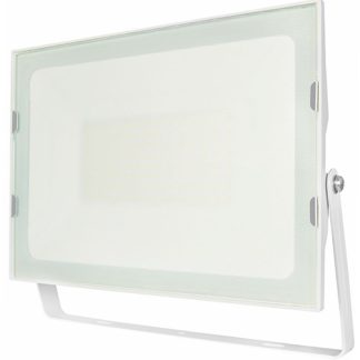 COMPAT PRO PROIETT. BIANCO 100W IP66 4000K - ERX PVR100BN
