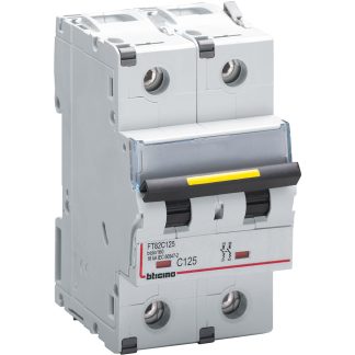 Interruttore magnetotermico 2P curva C 125A 16kA - BTI FT82C125