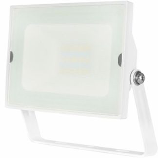 COMPAT PRO PROIETTORE BIANCO 10W IP66 3000K - ERX PVR10BC